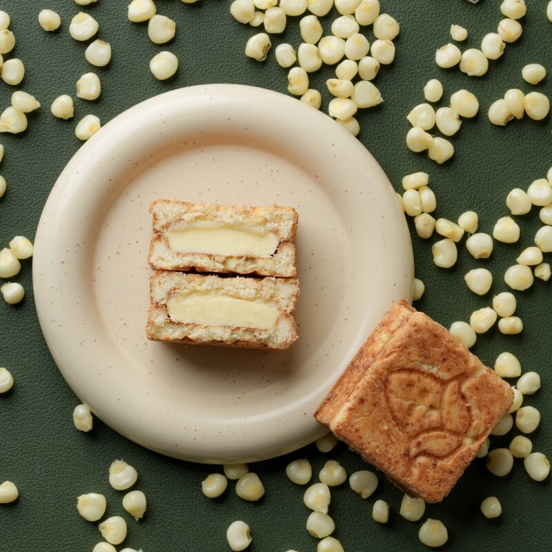 강원더몰,감옥샌드